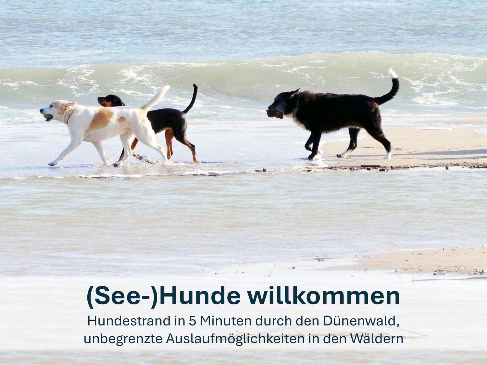 Paradies-Ambiente - Strandnah, Sauna, Kamin, Hundefreundlich Zinnowitz Bagian luar foto