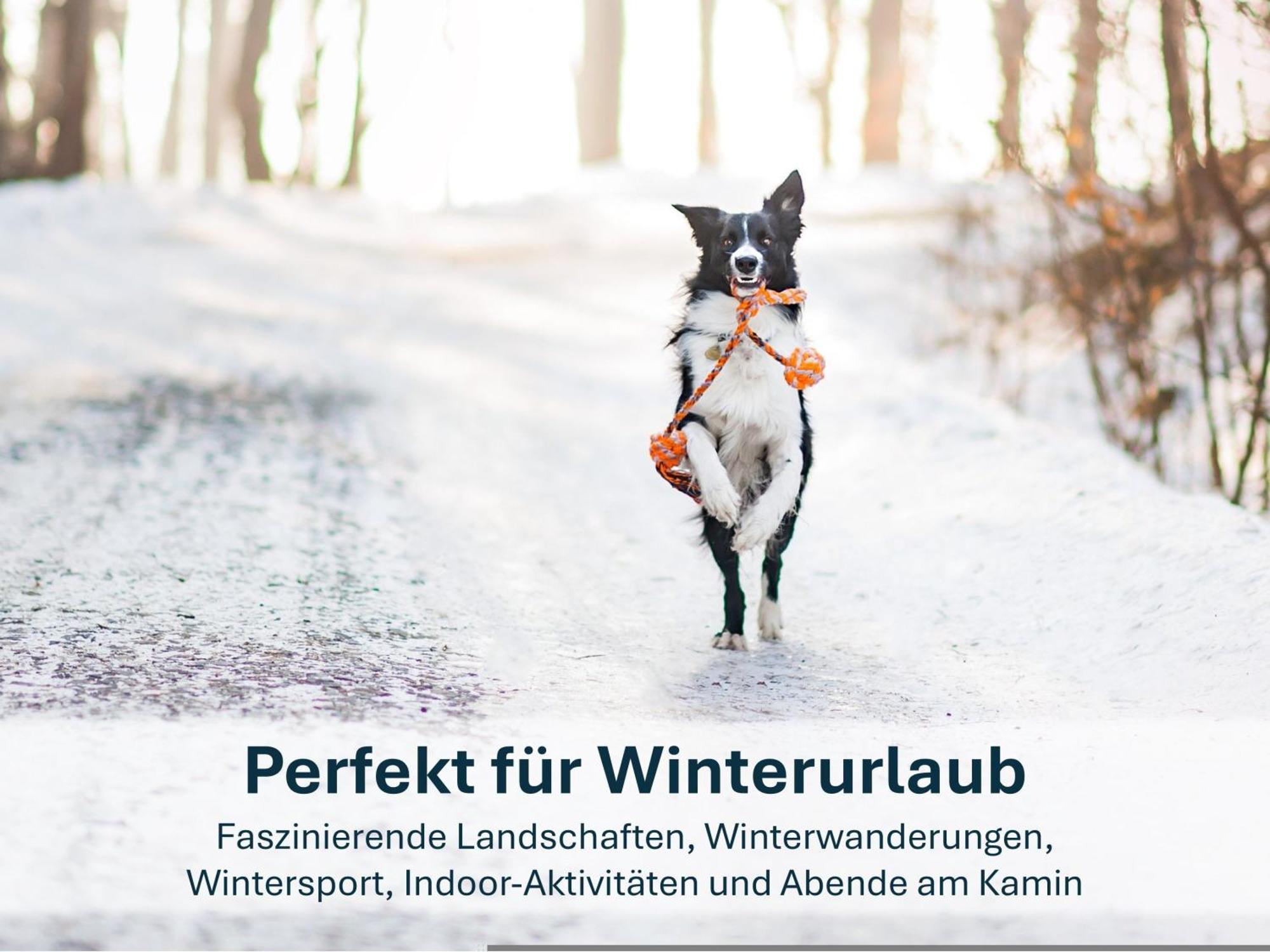 Paradies-Ambiente - Strandnah, Sauna, Kamin, Hundefreundlich Zinnowitz Bagian luar foto